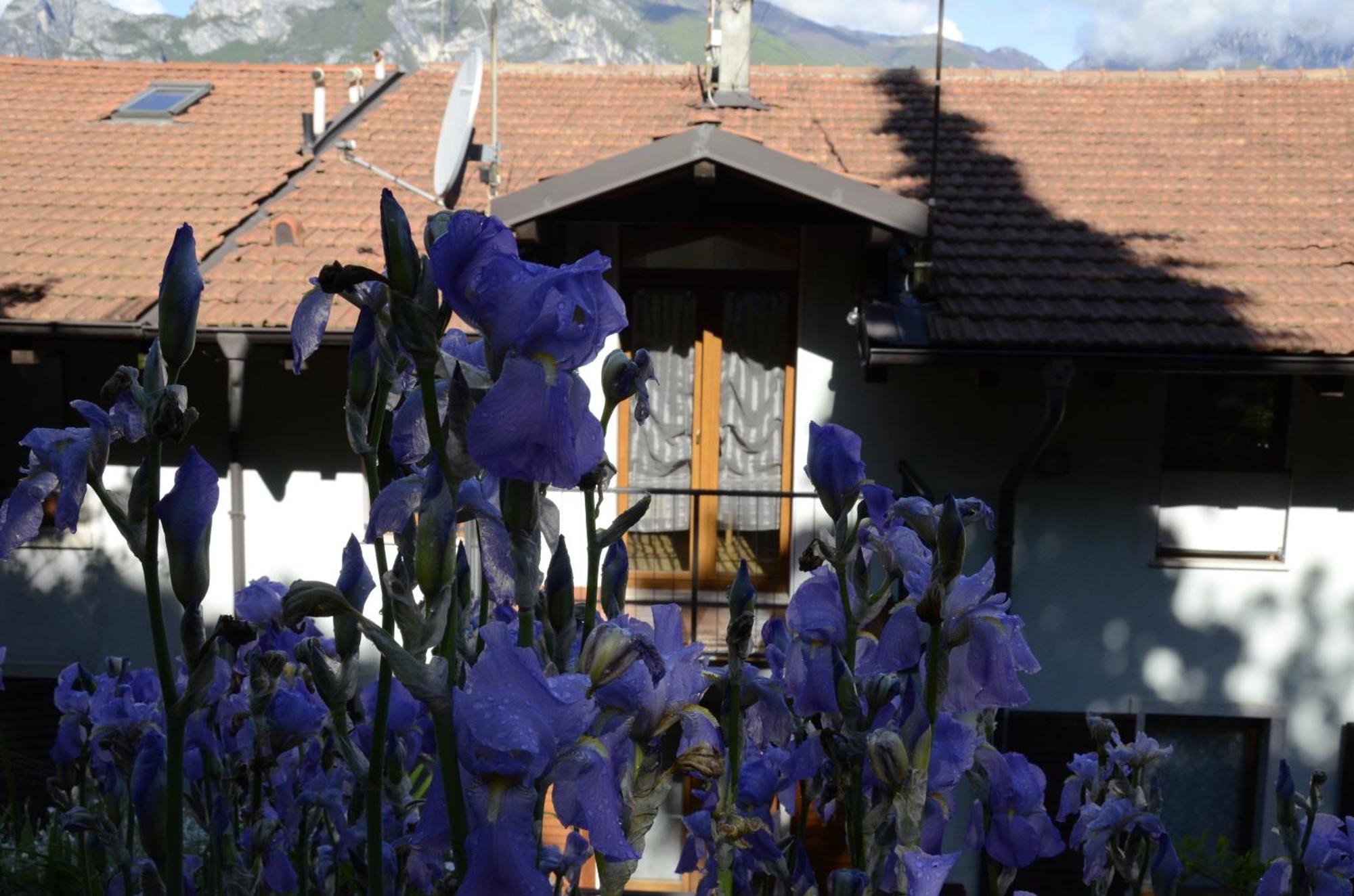 Appartamento Al Forte Torbole Sul Garda Dış mekan fotoğraf